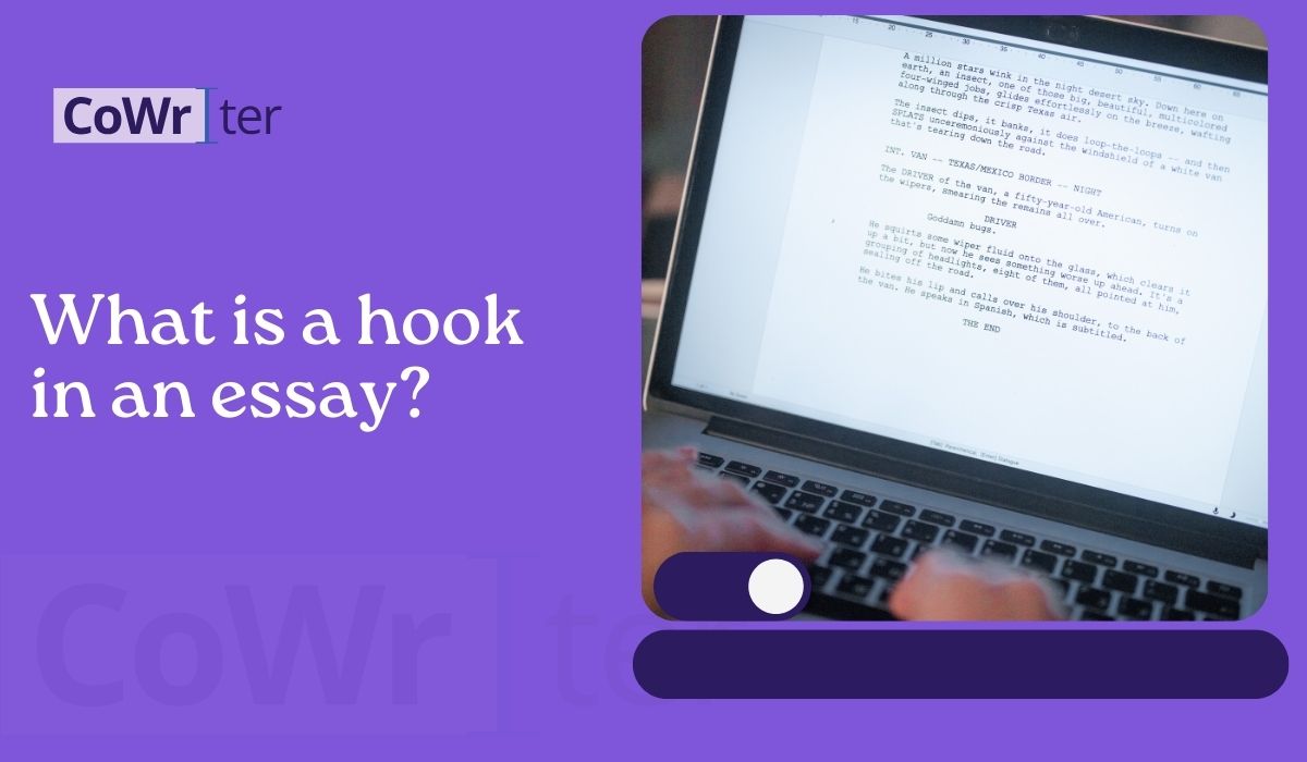 What is a hook in an essay?